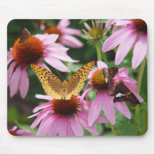 Tapis De Souris Papillons sur buisson d'Echinacea  