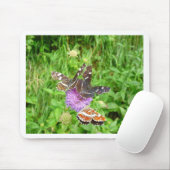 Tapis De Souris Papillons sur un chardon (Avec souris)