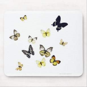 Tapis De Souris Papillons tirés sur le blanc