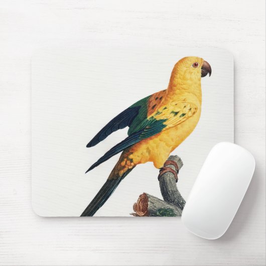 Tapis De Souris Parakeet Soleil, Aratinga solstitialis (Avec souris)