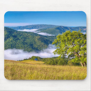 Tapis De Souris Parc national de Redwood, Californie