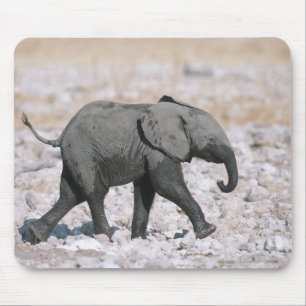 Tapis De Souris Parc national d'Etosha, Namibie