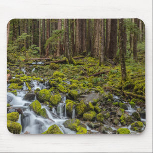 Tapis De Souris Parc national Olympique, État de Washington
