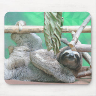 Tapis De Souris Paresse Mousepad