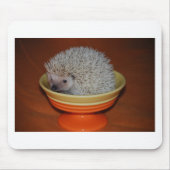 Tapis De Souris Parfait de hérisson (Devant)