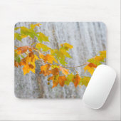 Tapis De Souris Parque Natural del Monasterio - feuille d'automne (Avec souris)