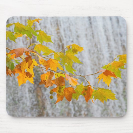 Tapis De Souris Parque Natural del Monasterio - feuille d'automne (Devant)