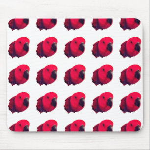 TAPIS DE SOURIS PARROIS ROUGE MOUSEPAD