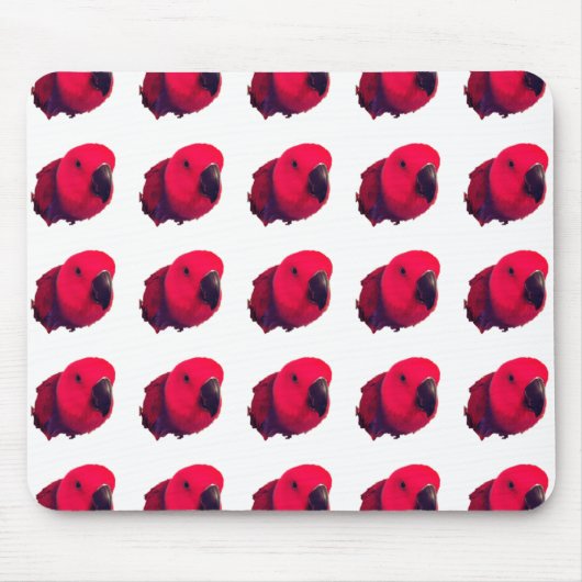 TAPIS DE SOURIS PARROIS ROUGE MOUSEPAD (Devant)