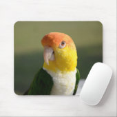 Tapis De Souris Parrot caïque à ventre blanc mou (Avec souris)