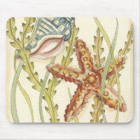 Partie Shell multicolore