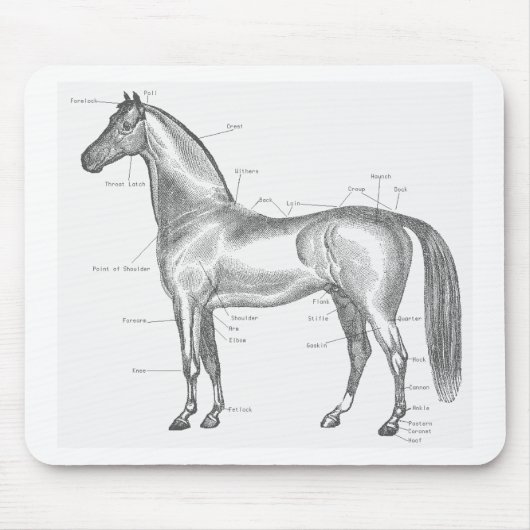 Tapis De Souris Parties du cheval Mousepad (Devant)