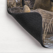 Tapis De Souris Pas Recherché ici (Coin)