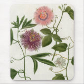 Tapis De Souris Passiflore comestible de passiflore Mousepad (Devant)