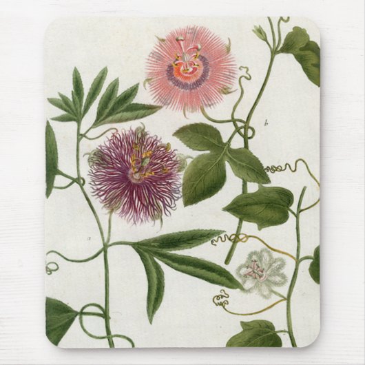 Tapis De Souris Passiflore comestible de passiflore Mousepad (Devant)
