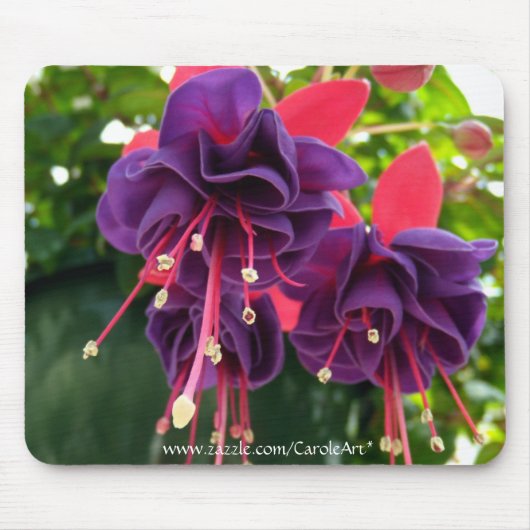 Tapis De Souris "Passion rose pourpre" Mousepad (Devant)