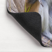 Tapis De Souris Patas Monkey (Coin)