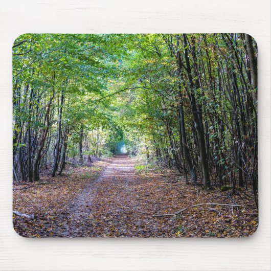 Tapis De Souris Pathway in the autumn forest, Saint Germain Forest (Devant)