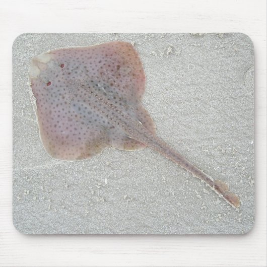 Tapis De Souris Patinage Mousepad (Devant)