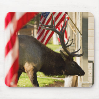 Tapis De Souris Patriotique Bull Elk