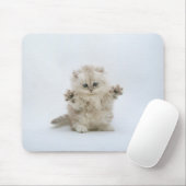 Tapis De Souris Pattes (Avec souris)