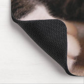 Tapis De Souris Pattes de chaton (Coin)