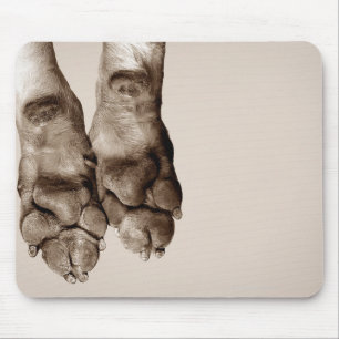 Tapis De Souris Pattes de chiens
