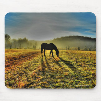 Tapis De Souris Pâturage à cheval au lever du soleil dans le champ