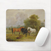 Tapis De Souris Pâturage de chevaux : Juments et poulains dans un (Avec souris)