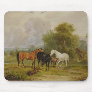 Tapis De Souris Pâturage de chevaux : Juments et poulains dans un