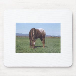 Tapis De Souris Pâturage de l'Appaloosa