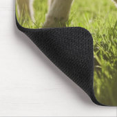 Tapis De Souris Pâturage des moutons dans l'herbe (Coin)