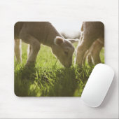 Tapis De Souris Pâturage des moutons dans l'herbe (Avec souris)