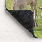 Tapis De Souris Pâturage du cheval et du poulain de Przewalski (Coin)