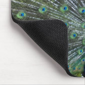 Tapis De Souris Pavanement de paon (Coin)