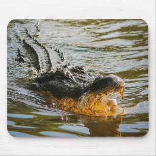 Tapis De Souris Pavé de souris Alligator