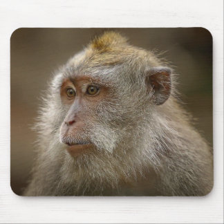 Tapis De Souris pavé de souris Monkey