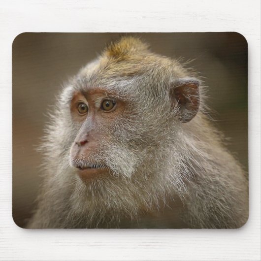 Tapis De Souris pavé de souris Monkey (Devant)