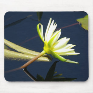 Tapis De Souris pavé de souris nénuphar lotus blanc