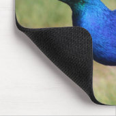 Tapis De Souris Pavé de souris Peacock (Coin)