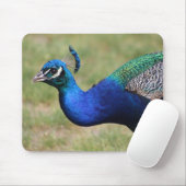 Tapis De Souris Pavé de souris Peacock (Avec souris)