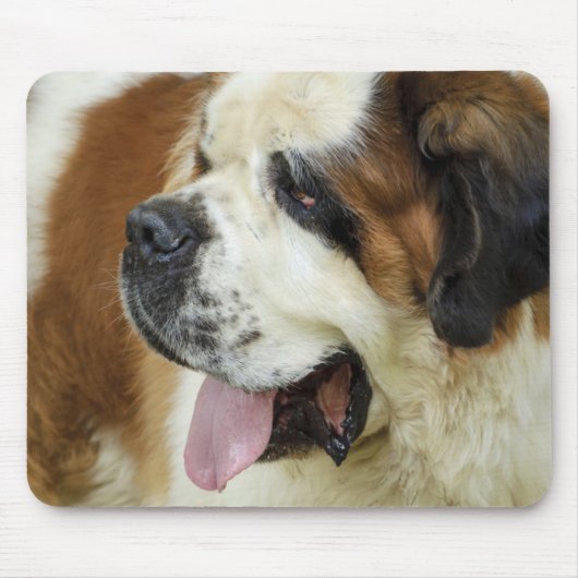 Tapis De Souris pavé de souris saint bernard (Devant)