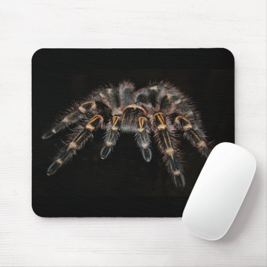 Tapis De Souris pavé de souris tarantule (Avec souris)