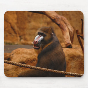 Tapis De Souris Pavian/Baboon