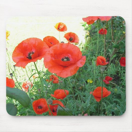 Tapis De Souris Pavot (Devant)