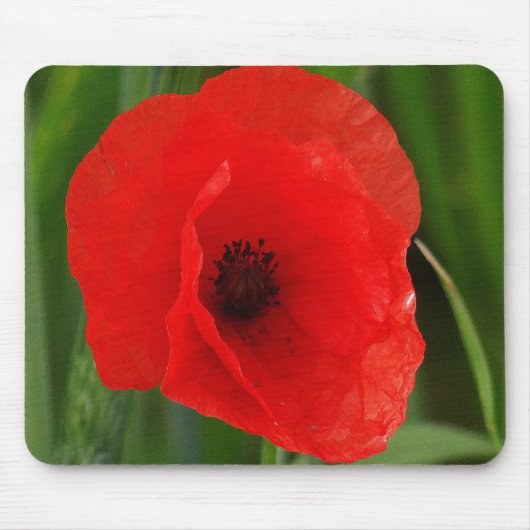 Tapis De Souris Pavot (Devant)