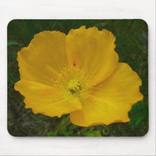 Tapis De Souris Pavot jaune Fleur sauvage de l'Alaska Floral