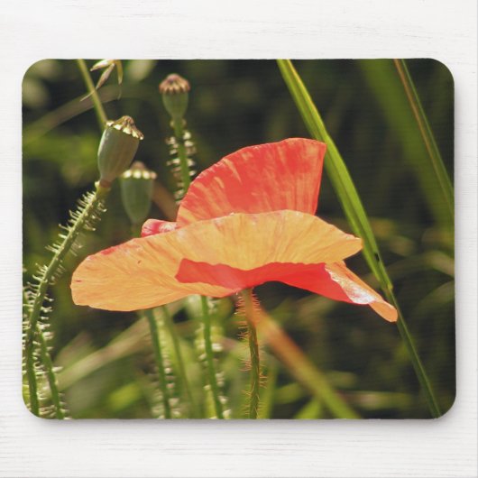 Tapis De Souris Pavot Mousepad (Devant)