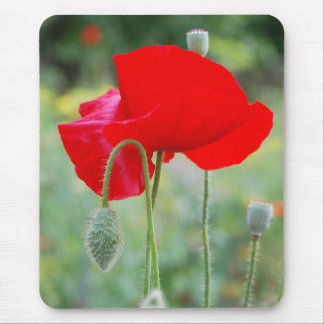 Tapis De Souris pavot rouge