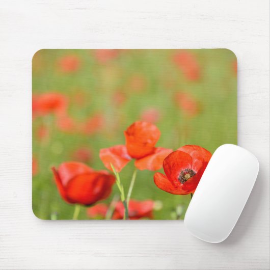 Tapis De Souris Pavots dans un mousepad de champ de pavot (Avec souris)